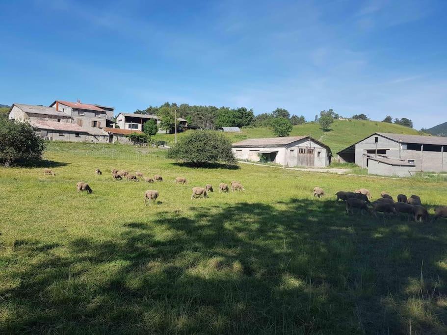 Gite Des Millets En Baronnies Rosans 外观 照片